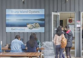 Bruny Island Oysters - Get Shucked